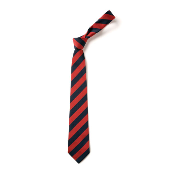 St Mary's School Tie Thumbnail
