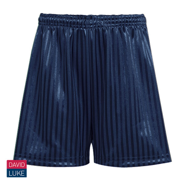 Shadow Shorts - Navy Thumbnail